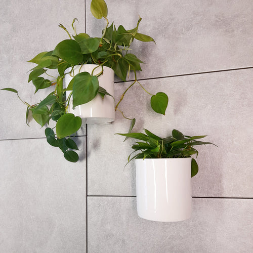 Wall mounted plant pots in bone china, white colour