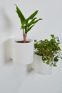 Ceramic, flower pots, wall, white, round, potted plants