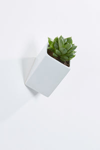 Ceramic wall planter, rectangular, white, with plant