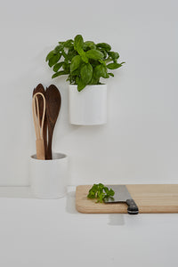 Planters, ceramic, white, round, kitchen, potted basil plant