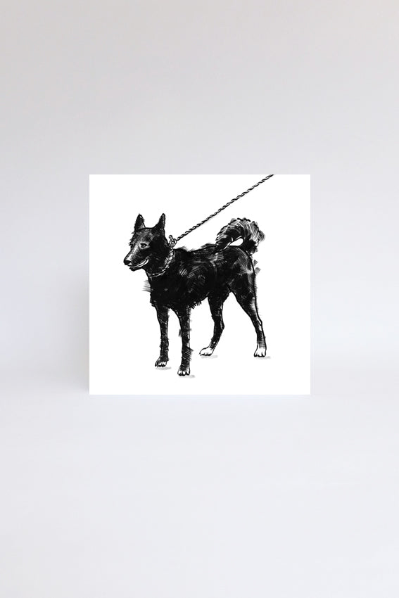 Dog with string lead, greetings card, black drawings