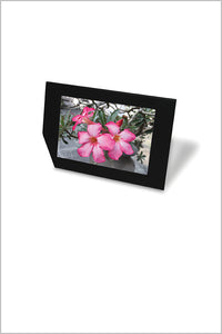 Black photo frame, leaning, pink flowers