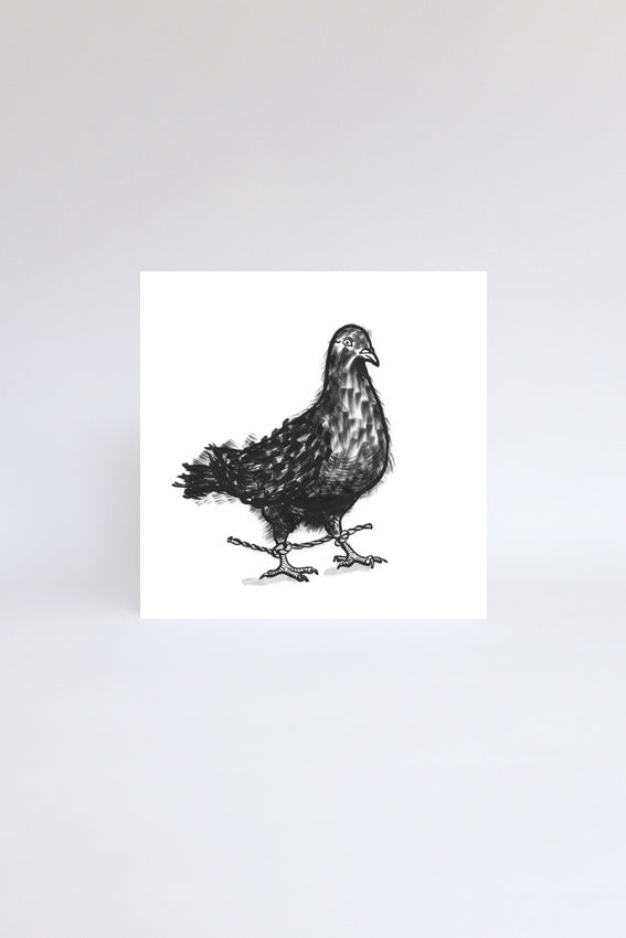 Pigeon, greetings card, black drawing